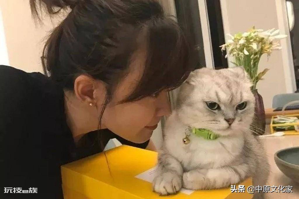 男不养猫女不养狗的说法(这个说法有科学依据吗)-图片3